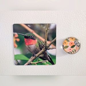 Ruby-throated Male Hummingbird Magnet 3x3in